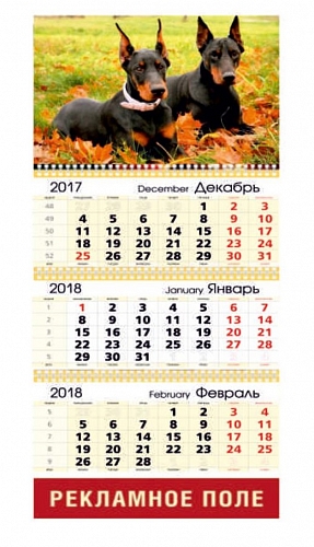 Календарь квартальный 2018 год. 1 поле. 250 шт. - печатная продукция в Минске